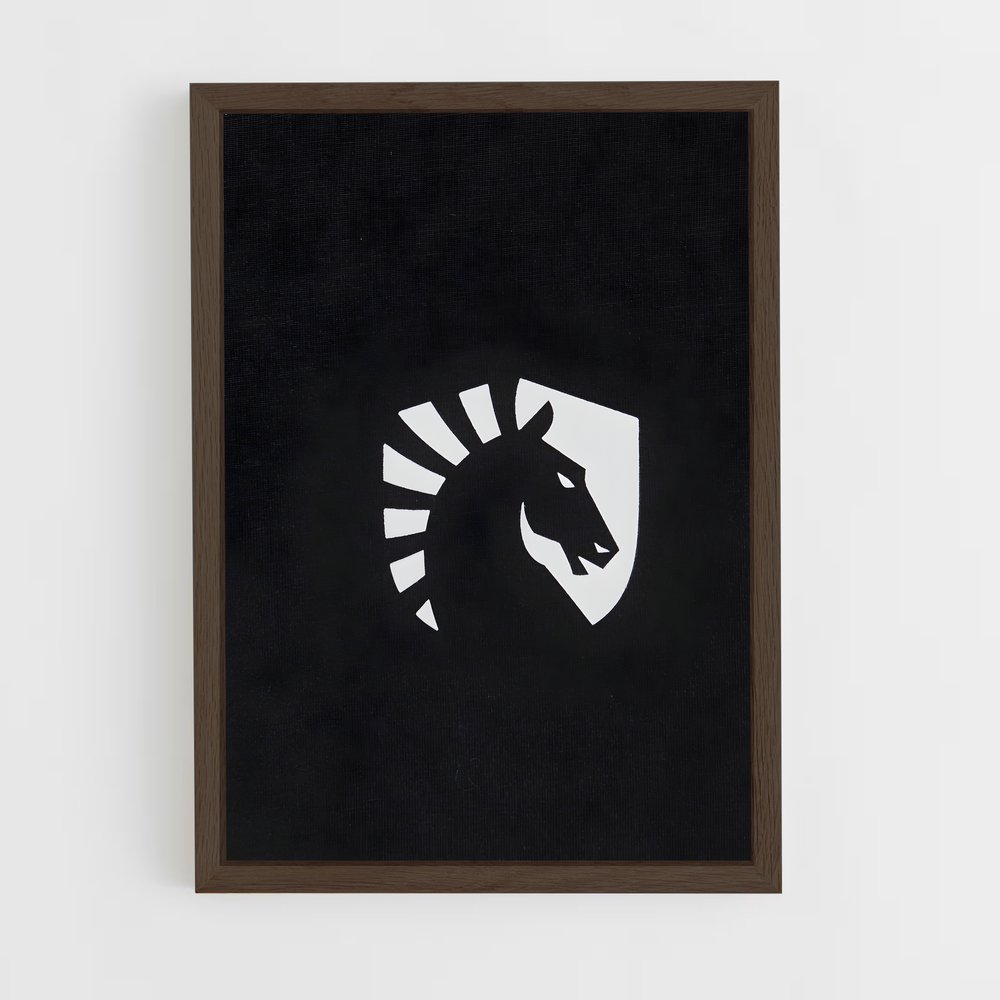 Poster Team liquid – affiche Esports (vue 5)